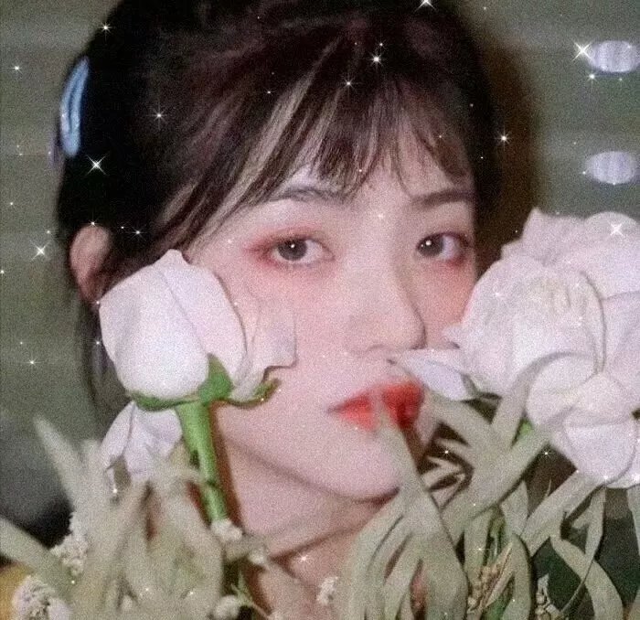 和歌子酒第二季